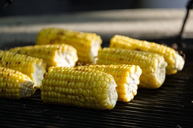 corn on cob corn on cob