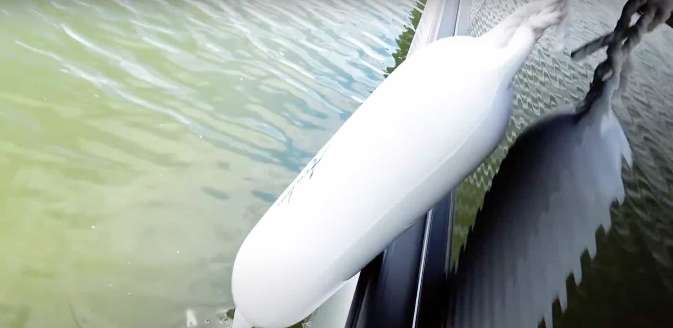 Best Pontoon Fenders & Bumpers [Pontoon Boat Protection] Pontooners