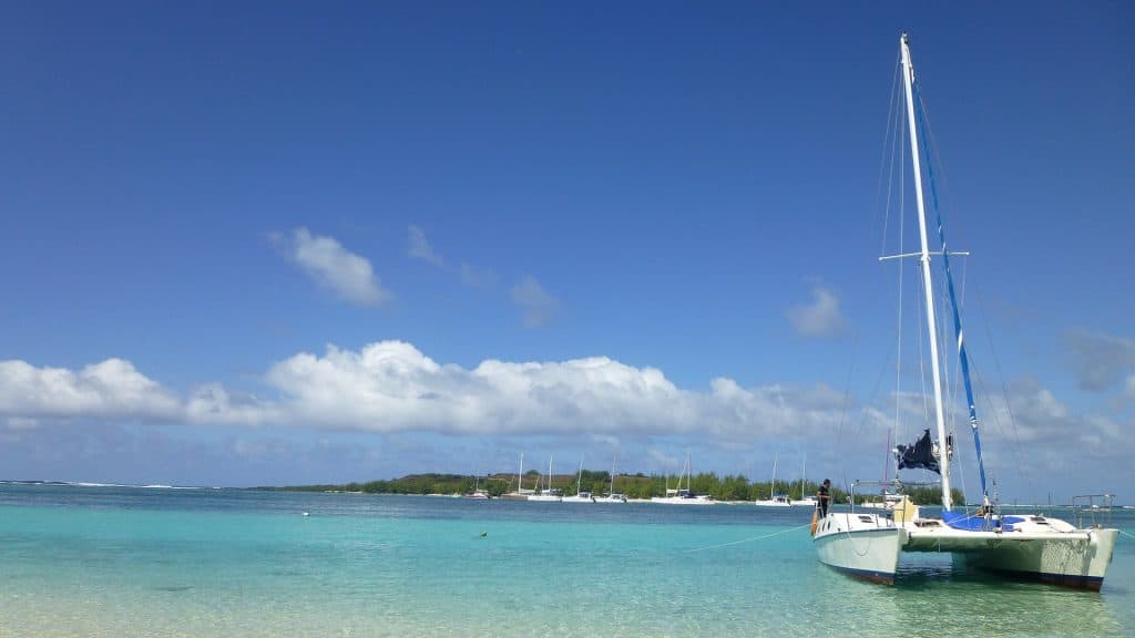 pontoon boat vs catamaran