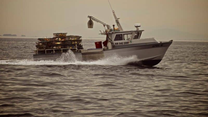 tugboat-captain-salary-how-much-do-captains-make-pontooners