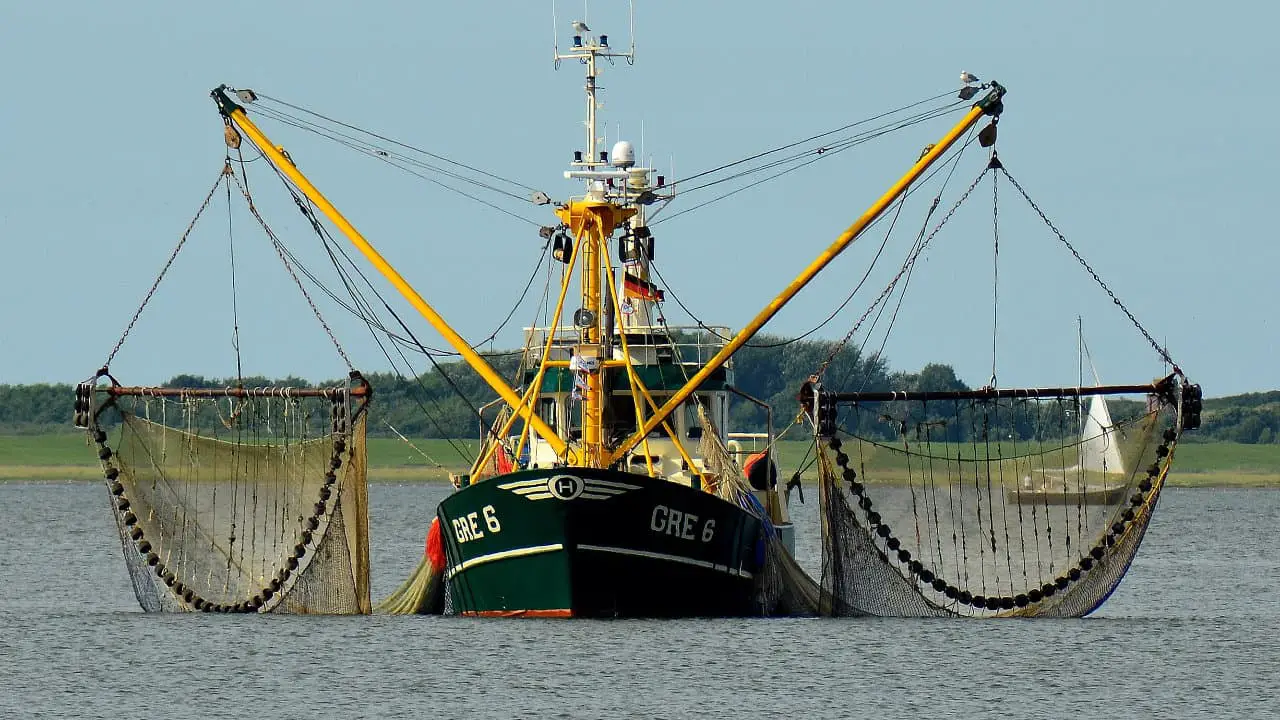 How Much Does a Shrimp Boat Cost? (Example Prices) Pontooners