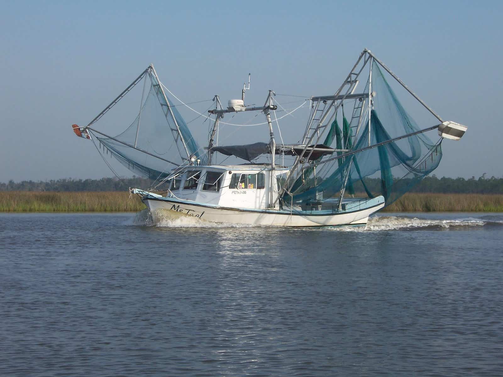 shrimp fishing shrimp fishing