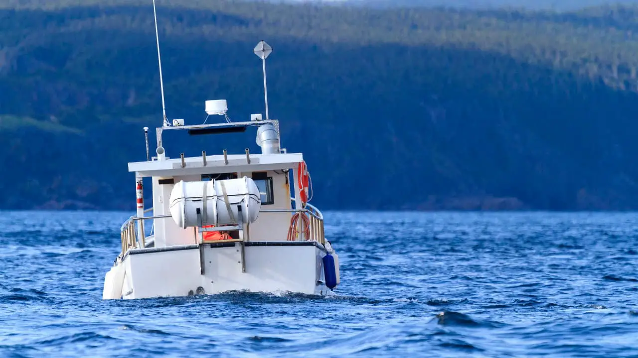 Who is Responsible for Performing the PreDeparture Check of a